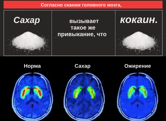 Сахар меняет химию мозга только через 12 дней